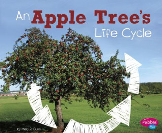 Boek An Apple Tree's Life Cycle Mary R. Dunn