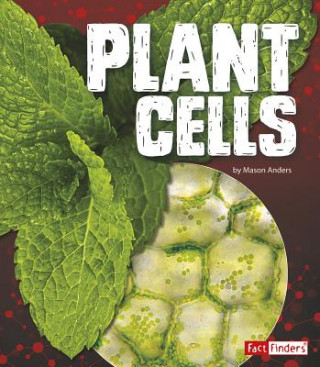 Książka Plant Cells Mason Anders