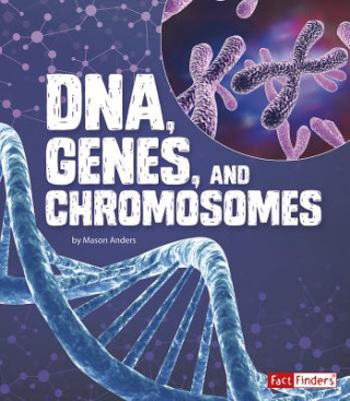 Kniha Dna, Genes, and Chromosomes Mason Anders