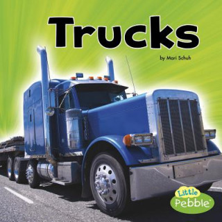 Libro Trucks Mari Schuh