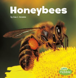 Книга Honeybees Lisa J. Amstutz