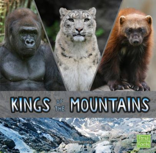 Kniha Kings of the Mountains Rebecca Rissman