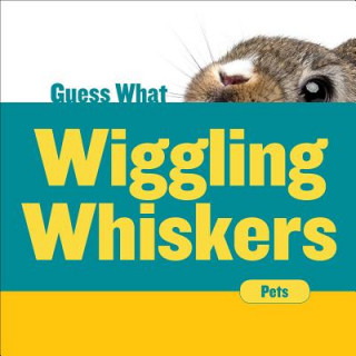 Carte Wiggling Whiskers: Rabbit Felicia Macheske