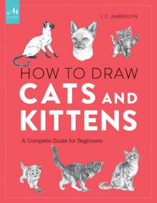 Книга How To Draw Cats And Kittens J. C. Amberlyn