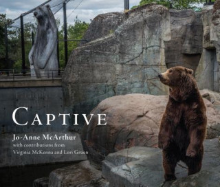 Könyv Captive Jo-Anne McArthur
