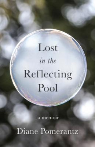 Kniha Lost in the Reflecting Pool Pomerantz