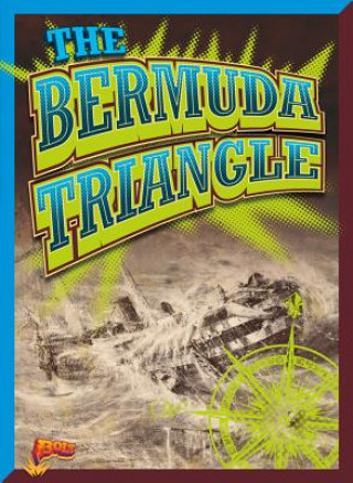 Buch BERMUDA TRIANGLE Elizabeth Noll