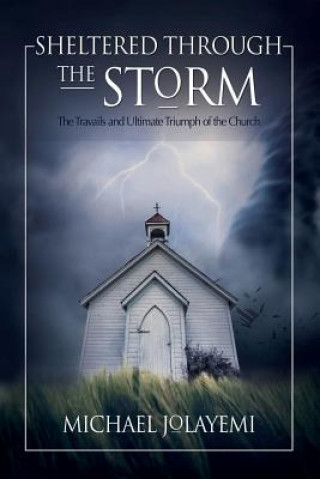 Knjiga Sheltered Through the Storm Michael Jolayemi
