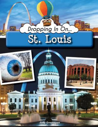 Buch DROPPING IN ON ST LOUIS Judy Greenspan