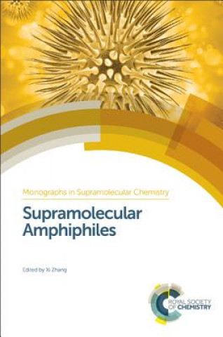 Kniha Supramolecular Amphiphiles Xi Zhang