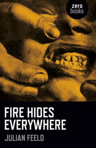 Книга Fire Hides Everywhere Julian Feeld