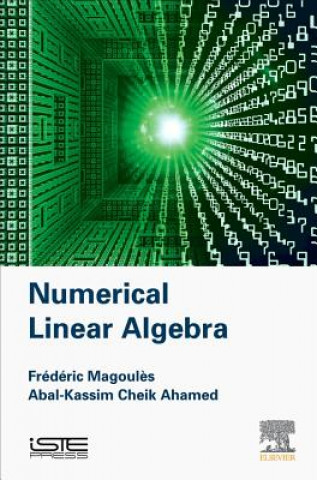 Könyv Numerical Linear Algebra Frederic Magoules