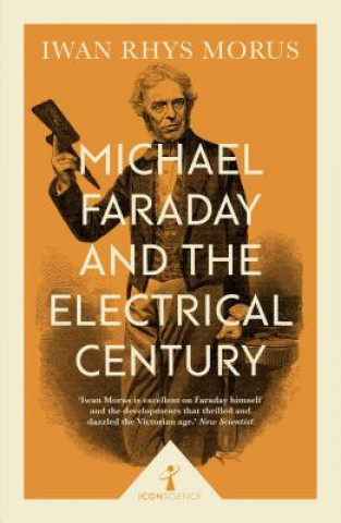 Knjiga Michael Faraday and the Electrical Century (Icon Science) Iwan Morus