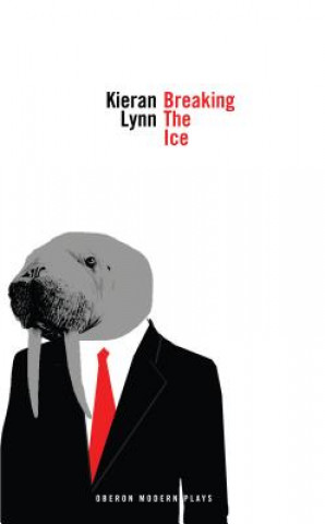 Kniha Breaking the Ice Kieran Lynn