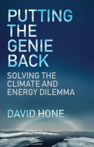 Kniha Putting the Genie Back David Hone