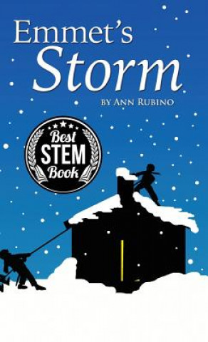 Buch Emmet's Storm Ann Rubino