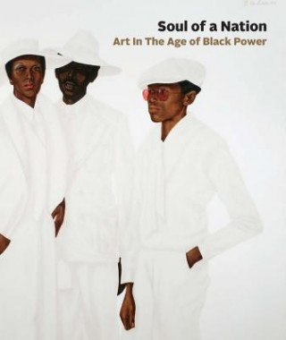 Kniha Soul of a Nation: Art in the Age of Black Power Mark Godfrey