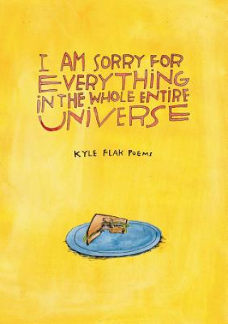 Buch I Am Sorry for Everything in the Whole Entire Universe Kyle Flak