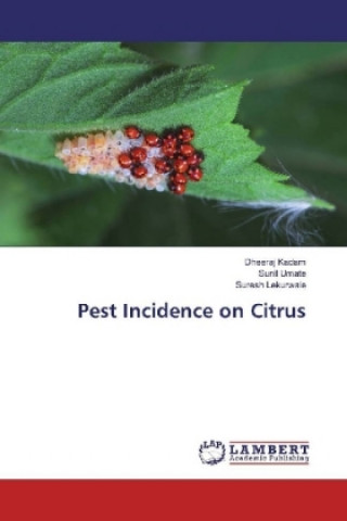 Könyv Pest Incidence on Citrus Dheeraj Kadam