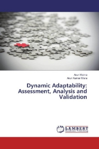 Kniha Dynamic Adaptability: Assessment, Analysis and Validation Arun Mishra