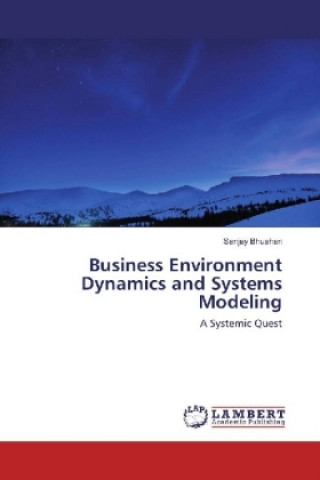 Kniha Business Environment Dynamics and Systems Modeling Sanjay Bhushan
