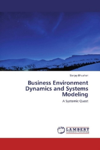 Knjiga Business Environment Dynamics and Systems Modeling Sanjay Bhushan