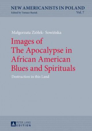Könyv Images of The Apocalypse in African American Blues and Spirituals Malgorzata Ziolek-Sowinska