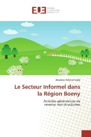 Книга Le Secteur Informel dans la Région Boeny Arcadius Rakotomalala