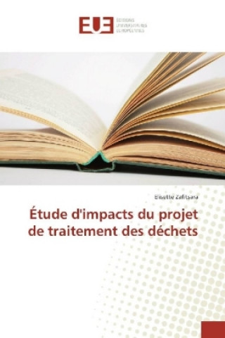 Carte Étude d'impacts du projet de traitement des déchets Elisette Zafitsara