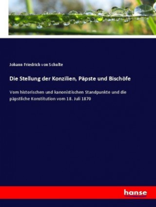 Książka Stellung der Konzilien, Papste und Bischoefe Johann Friedrich Von Schulte