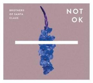 Audio Not Ok Brothers Of Santa Claus
