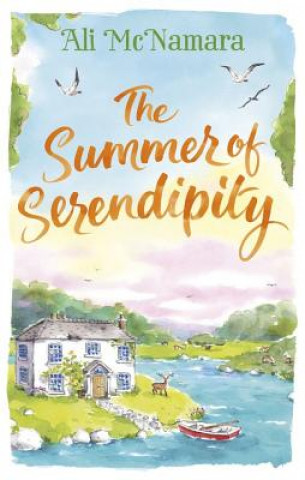 Book Summer of Serendipity Ali McNamarová