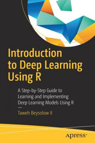 Kniha Introduction to Deep Learning Using R Taweh Beysolow II