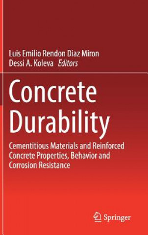 Kniha Concrete Durability Luis Emilio Rendon Diaz Miron