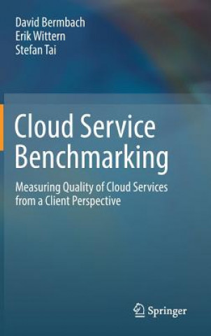 Könyv Cloud Service Benchmarking David Bermbach