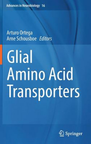 Könyv Glial Amino Acid Transporters Arturo Ortega