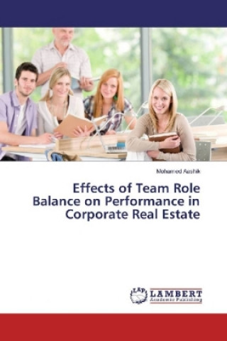 Könyv Effects of Team Role Balance on Performance in Corporate Real Estate Mohamed Aashik