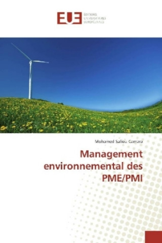 Buch Management environnemental des PME/PMI Mohamed Saliou Camara