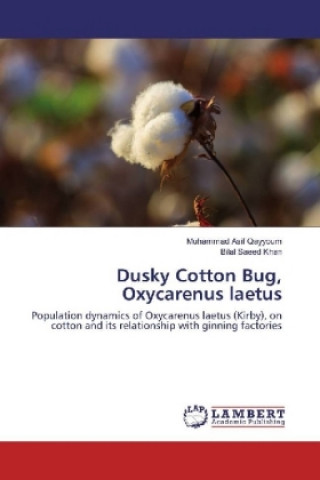 Kniha Dusky Cotton Bug, Oxycarenus laetus Muhammad Asif Qayyoum