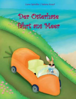 Kniha Osterhase fahrt ans Meer Liane Spindler