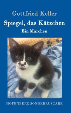 Książka Spiegel, das Katzchen Gottfried Keller