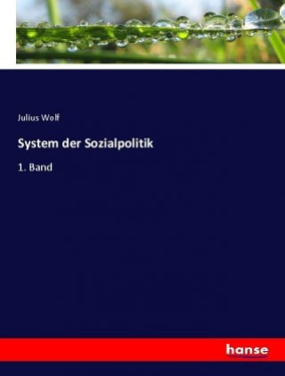 Kniha System der Sozialpolitik Julius Wolf