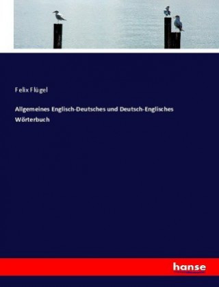 Knjiga Allgemeines Englisch-Deutsches und Deutsch-Englisches Woerterbuch Felix Flügel