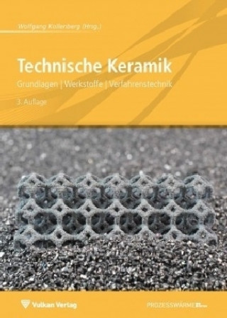 Kniha Technische Keramik Wolfgang Kollenberg