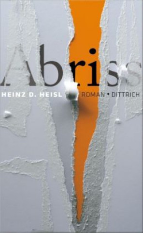 Kniha Abriss Heinz D. Heisl