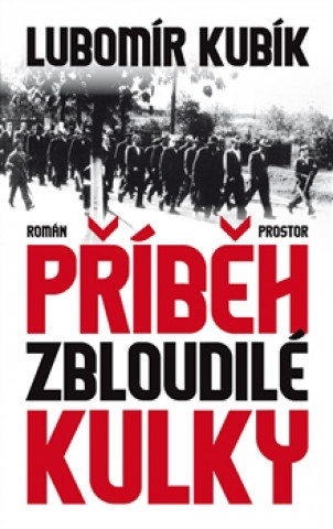 Книга Příběh zbloudilé kulky Lubomír Kubík