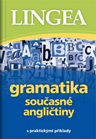 Kniha Gramatika současné angličtiny 