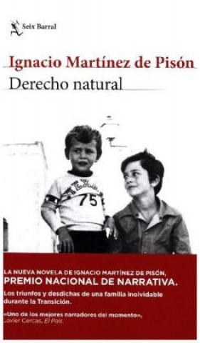 Kniha Derecho natural IGNACIO MARTINEZ DE PISON