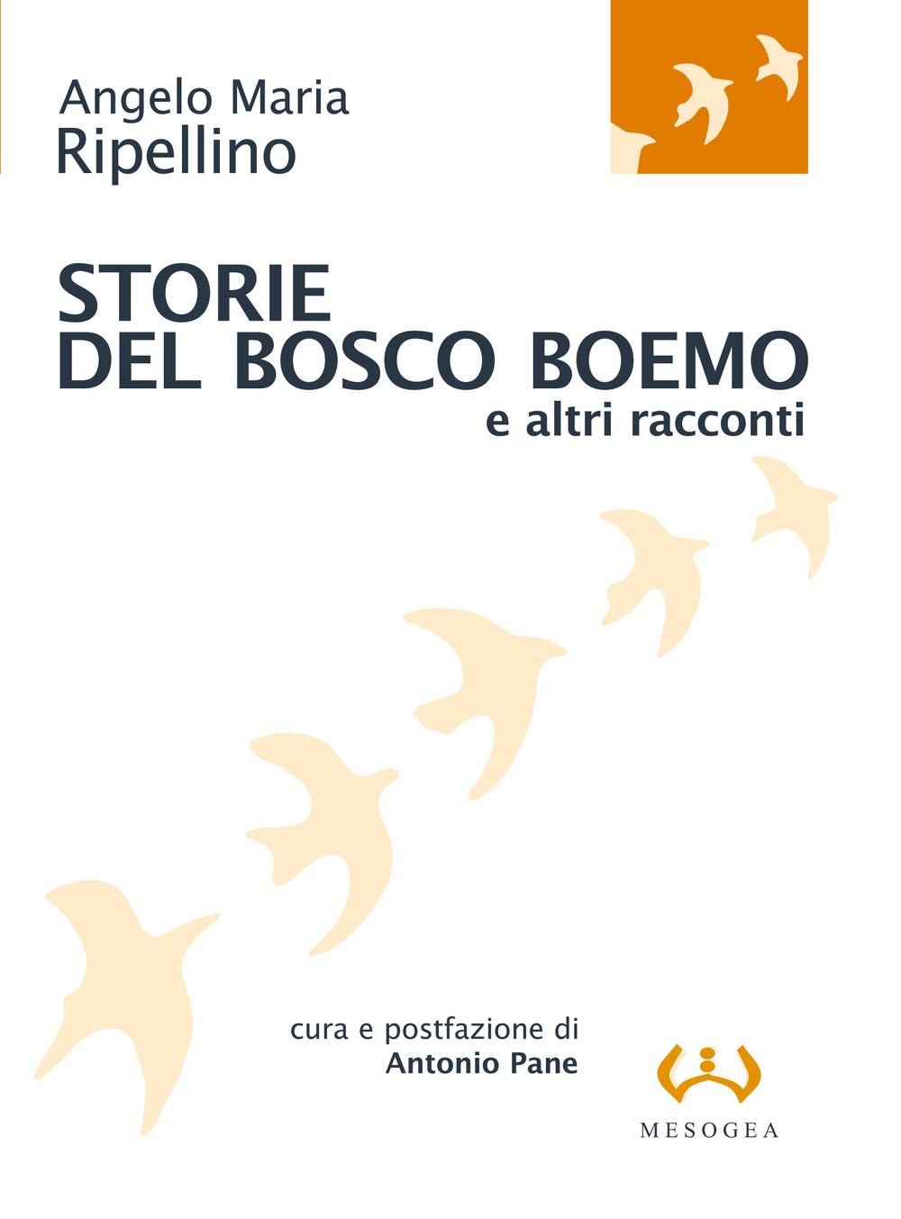 Kniha Storie del bosco boemo e altri racconti Angelo M. Ripellino