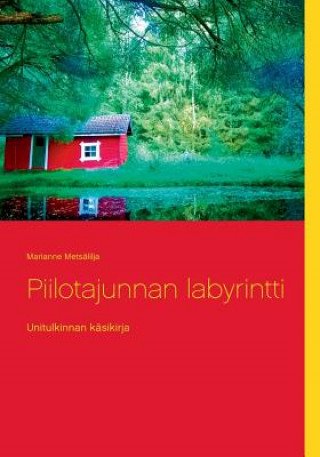 Carte Piilotajunnan labyrintti Marianne Metsälilja